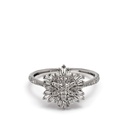 Ring-Aspen