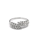 Ring-Ada