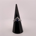 Ring-Ariana