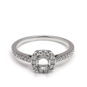 Ring-Elisa